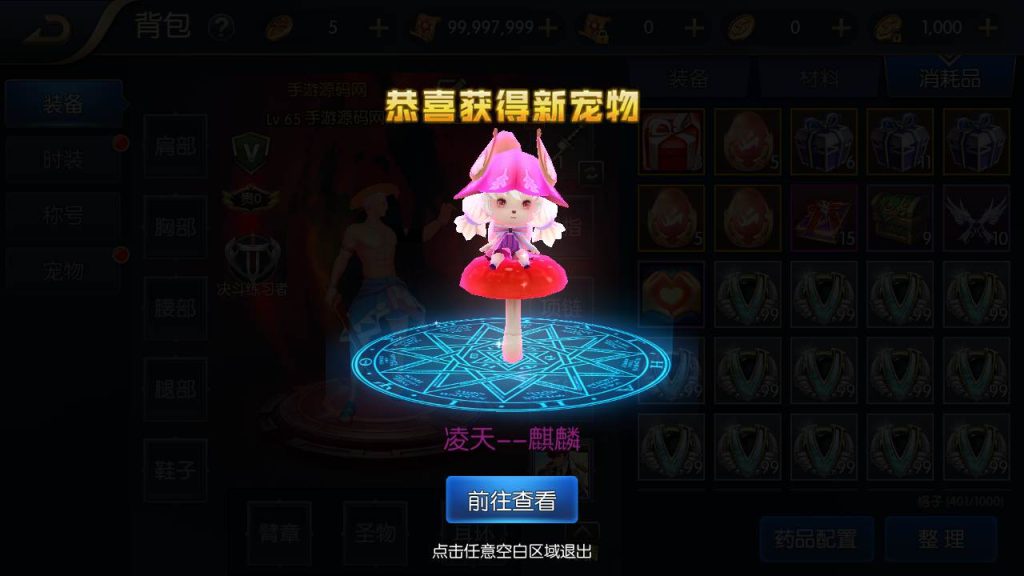 20250217210226155-MuMu20231014162120_syymw.com_